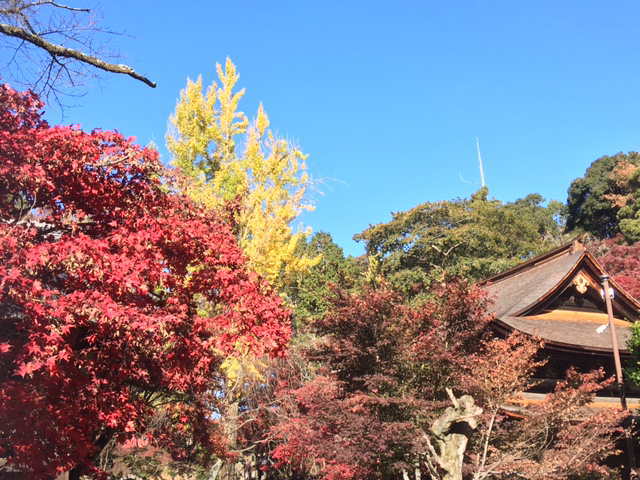 愛岐トンネル群 秋の特別公開 見学 Or 定光寺 旅行 日常 お仏壇のリフォーム クリーニング お洗濯 供養 処分は名古屋市の稲葉仏檀店