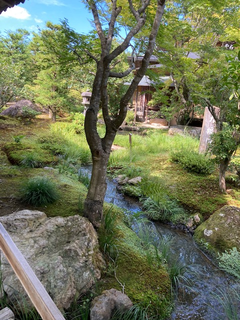 京都 天龍寺 庭園